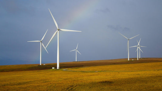 Tianze Zhilian Releases Wind Farm Safety AI Solution with Mobile Intelligent Inspection