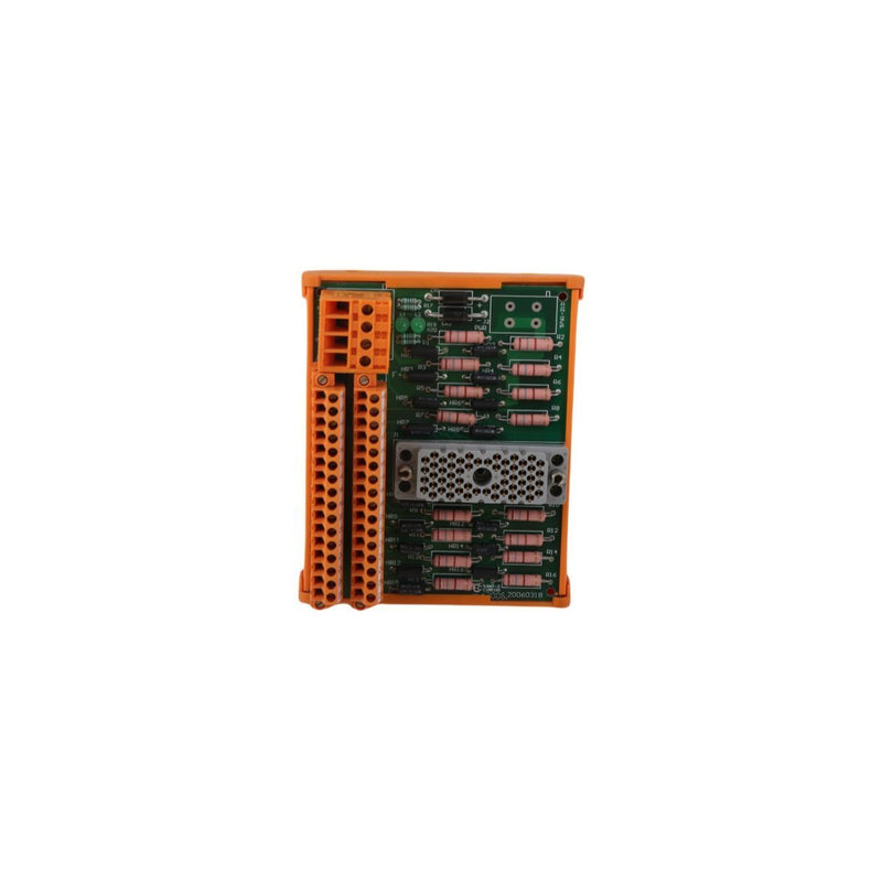 9761-210 Opción de terminación en campo del panel Triconex Tricon v9-v10